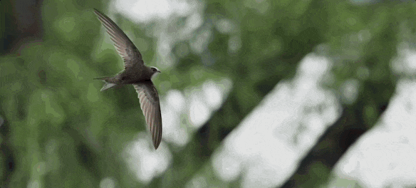 没有停在原地｜GoodnewsPG电子游戏麻将胡了7月我们都(图2)