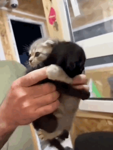 没有停在原地｜GoodnewsPG电子游戏麻将胡了7月我们都(图12)