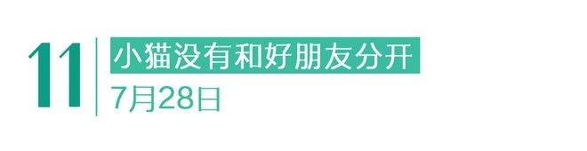 没有停在原地｜GoodnewsPG电子游戏麻将胡了7月我们都(图16)