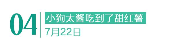 没有停在原地｜GoodnewsPG电子游戏麻将胡了7月我们都(图18)
