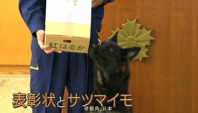 没有停在原地｜GoodnewsPG电子游戏麻将胡了7月我们都(图20)